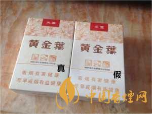 黃金葉天葉真假識別