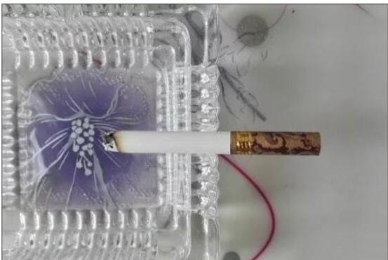 黃鶴樓漫天游，除了短貴沒別的毛病