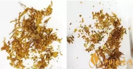 冬蟲夏草（和潤）真假鑒別，春節(jié)防止被騙